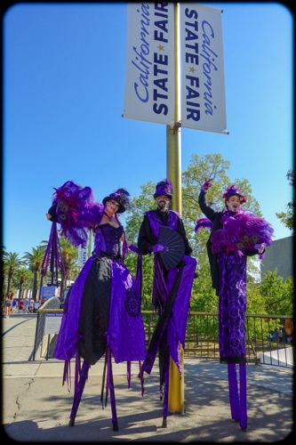 California State Fair California State Fair
