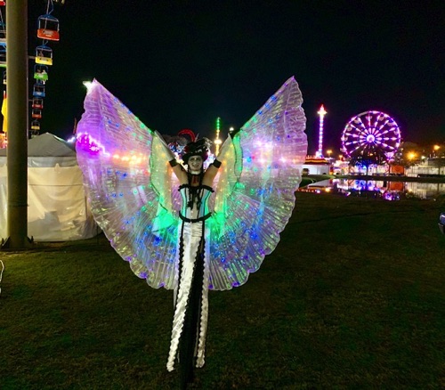 LED Wings