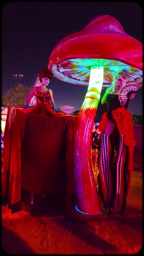 Hoop Skirt Mushroom Love
~Specialty Hoop~