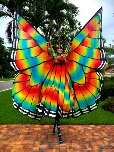 Colorful Butterfly (Specialty)