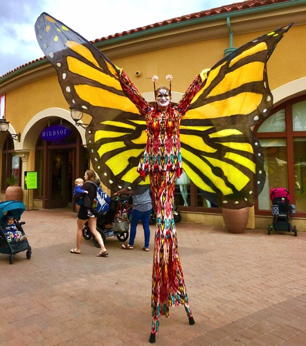 Colorful Monarch Butterfly
~Specialty~