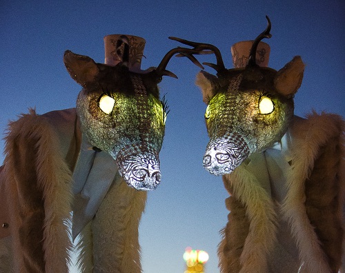 Reindeer Reindeer